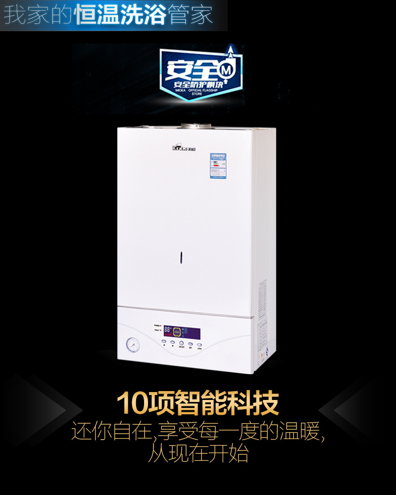 【芙爾】F系列燃?xì)獠膳療崴疇t