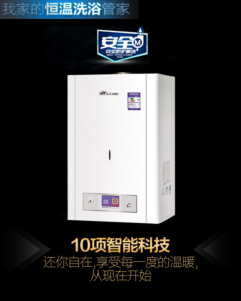 【沙蒂】CII系列燃?xì)獠膳療崴疇t